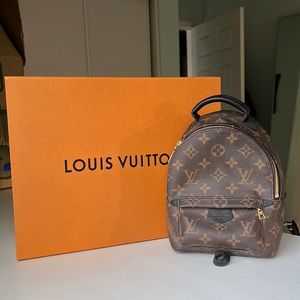 Louis Vuitton Palm Springs Mini - BRAND NEW